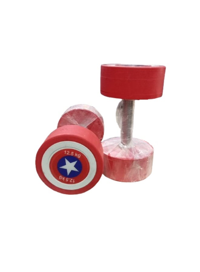 Red Dumbbell 12.5 kg(2 PCS) - Image 1