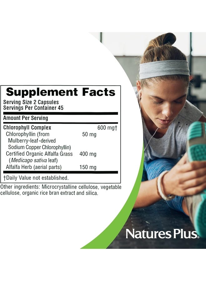 Nature's Plus Natures Plus Chlorophyll Caps - 600mg, 90 Vegetarian Capsules - Image 5