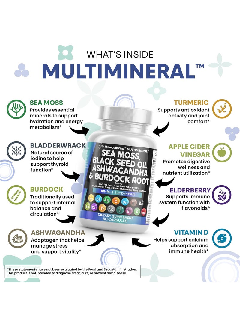 Clean Nutraceuticals زيت بذور الكمون الأسود مع طحالب البحر، أشواغاندا، كركم، بلادر وراك، بربيردك، وفيتامين C، وفيتامين D3 مع إلدربيري، مانوكا، دandelion، يلو دوك، يود، كلوروفيل، خل التفاح 60 كبسولة - Image 3