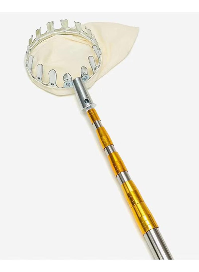 DubaiGallery أداة قطف الفاكهة مع عمود تلسكوبي خفيف الوزن من الفولاذ المقاوم للصدأ وحقيبة، قاطف فاكهة سهل التجميع - Image 2