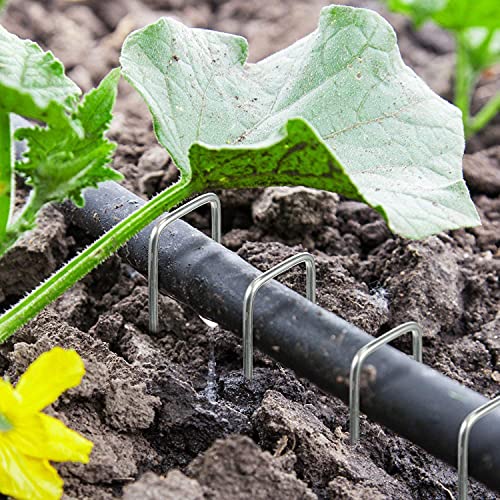 AAGUT 16 Pack Landscape Staples 6 Inch Garden Pins 11 Ga Galvanized Sod Landscaping Pins Heavy Duty Yard Lawn Tent Stakes for Weed Barrier Fabric, Inflatables, Artificial Turf, Irrigation Tubing Hose - Image 5