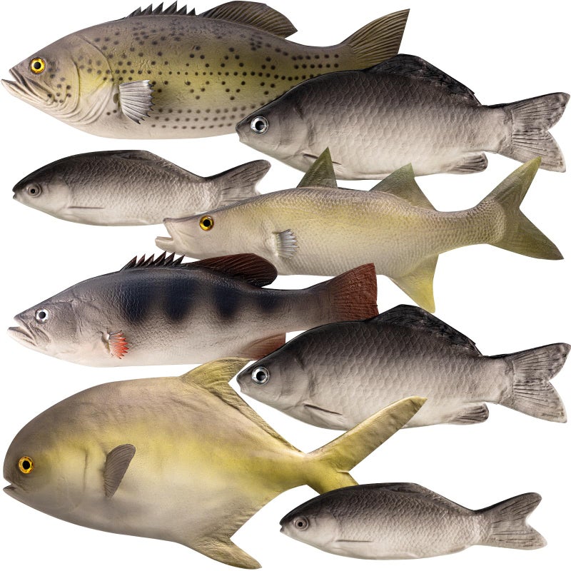 Blueweenly 8 Pcs Fake Fish Artificial Fish Toy 6 Types Lifelike Stuffed Pretend Realistic Sea Fishes Models for Photography Props Party Favor Display Kitchen Decor - Image 3