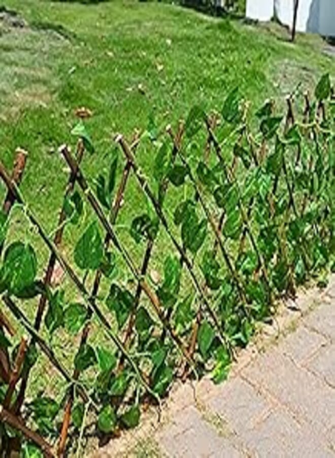 Artificial Rose Wood Pergus