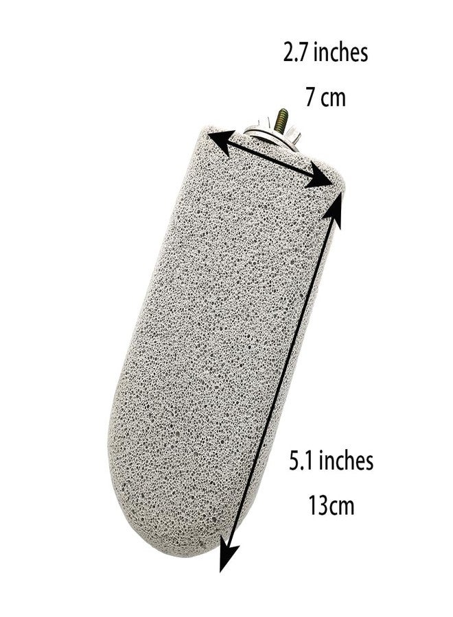 Shelltech Pumice Ledge Lava Ledge for Birds Chinchillas, Climbing Ledge Teeth Grinding Beak Grinding Block Perch Stand for Hamsters Chinchillas Parrots (L-2 Pack) - Image 2