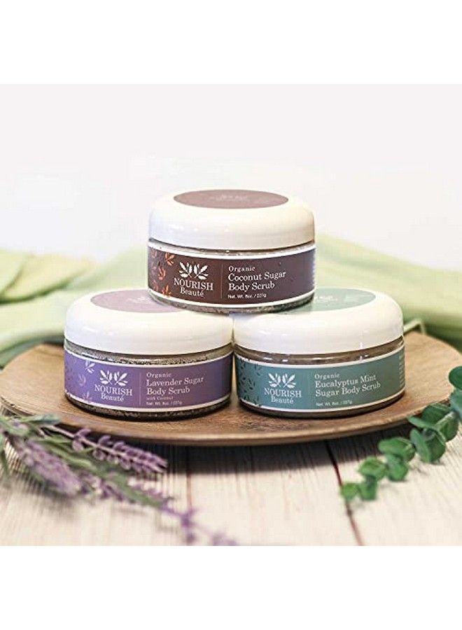 Nourish Beaute سكر عضوي مقشر للجسم للتقشير والسيلوليت يرطب ويغذي البشرة مع تحسين لون وملمس البشرة 8 أونصات جوز الهند - Image 5