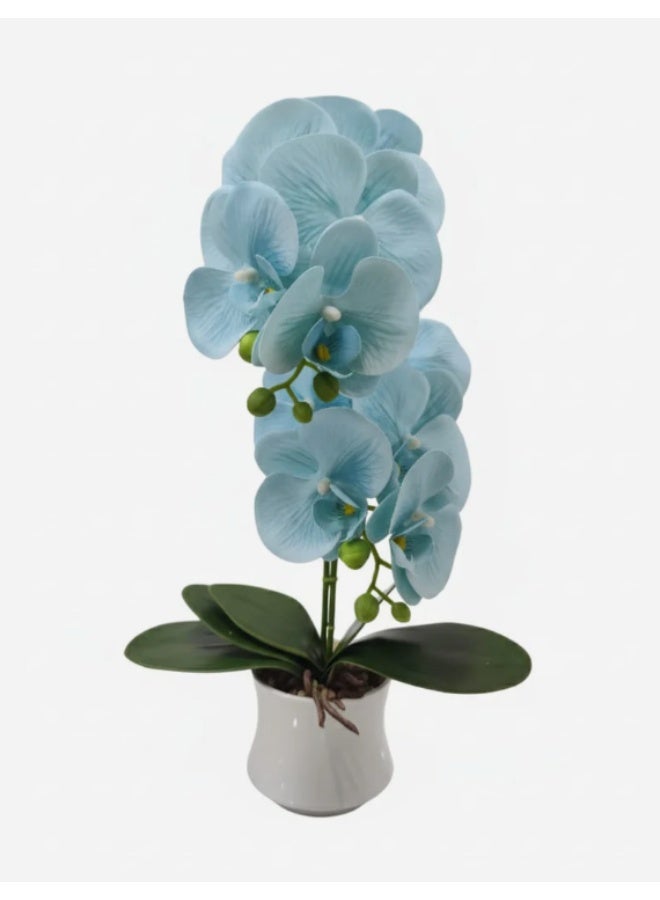 AKDC RoyalOrchid Decorative Artificial Orchid Plant – Blue Color – 46 cm with Ceramic Pot – Elegant Home Décor - Image 2