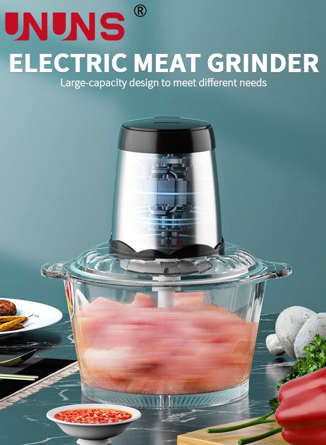 Essential Food Chopper,2L Glass Bowl Grinder For Meat,Fruits And Nuts,Stainless Steel Quad Blade,Food Processor By Homeleader,300W