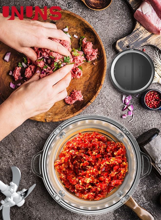 Essential Food Chopper,2L Glass Bowl Grinder For Meat,Fruits And Nuts,Stainless Steel Quad Blade,Food Processor By Homeleader,300W