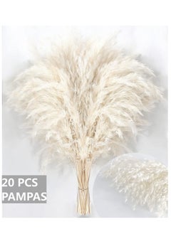 Generic Elegant White Pampas Grass for Home Decor - Premium Quality 20PCS Stems - Ideal for Boho, Nursery, Wedding, Table, and Western Decor - Perfect for Stylish Interiors.  - Image 3
