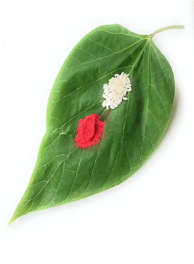 Anishop Bhai/Mooch wala Bhai Rakhi for brother with roli chawal Tilak set of 3 Rakhi set - Image 3