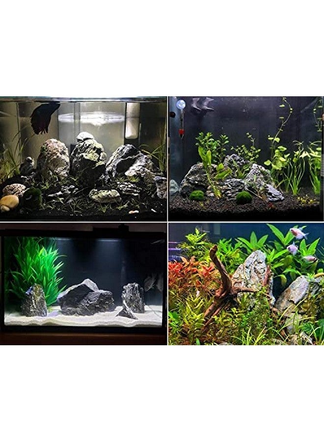 حجر سيرو VAYINATO® Aquascaping لتزيين حوض السمك الطبيعي (3 كجم) من Pezlifeworld - Image 2
