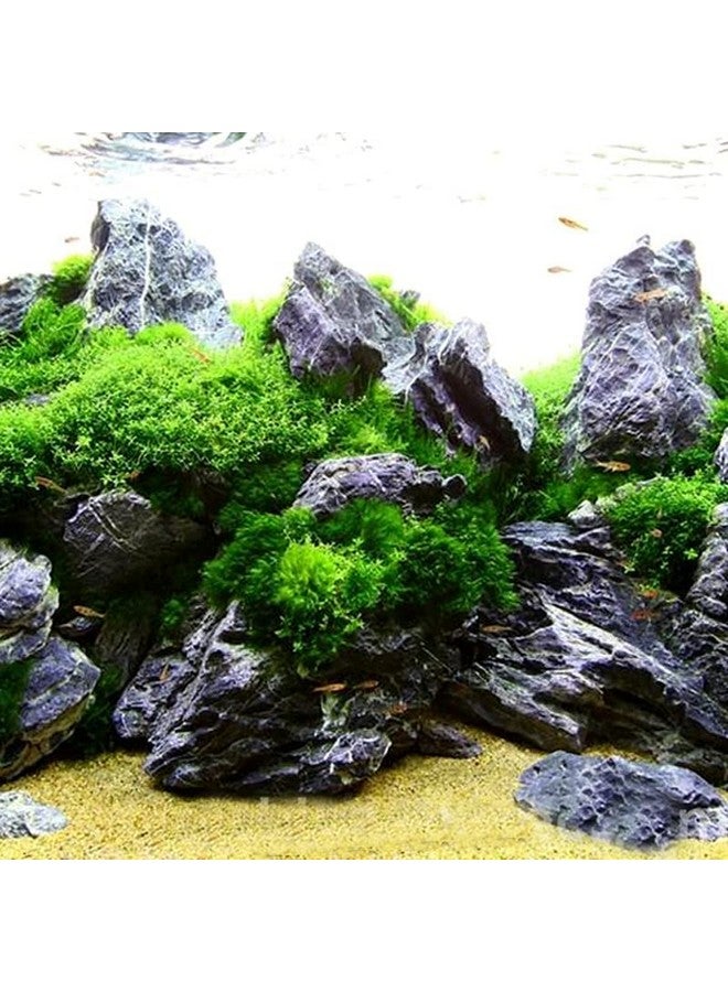 حجر سيرو VAYINATO® Aquascaping لتزيين حوض السمك الطبيعي (3 كجم) من Pezlifeworld - Image 3