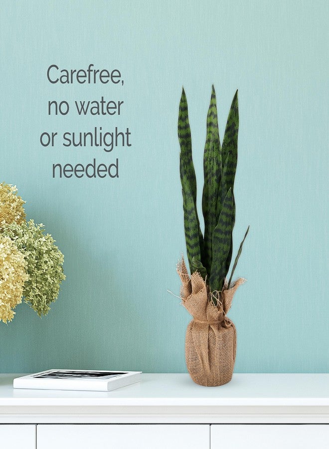 Elements Snake Plant in a Burlap Wrap Pot for Bathroom Farmhouse Faux Greenery Tabletop Centerpiece Mantel Office Desk Kitchen Décor, 24 inches - Image 5