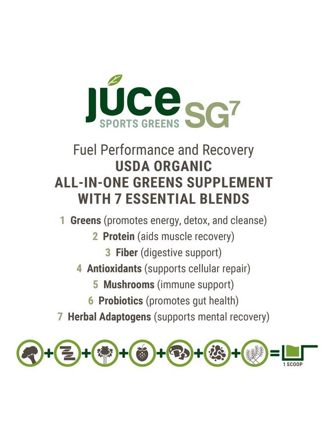 Terra Kai Organics - Sg7 Sports Greens Organic Green Juice Powder  Powdered Superfood Protein  Antioxidants  Mushrooms  Probiotics For Gut Health  Mixed Berry Flavor  30 Servings - Image 1