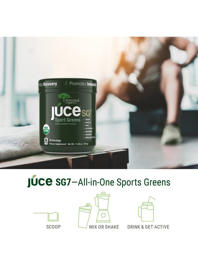 Terra Kai Organics - Sg7 Sports Greens Organic Green Juice Powder  Powdered Superfood Protein  Antioxidants  Mushrooms  Probiotics For Gut Health  Mixed Berry Flavor  30 Servings - Image 1
