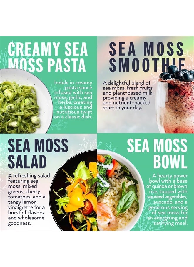 Biolore - Wildcrafted Sea Moss Gel - Supercharge Health with Irish Seamoss - with Essential Vitamins & Minerals - Antioxidant-Rich Vegan Superfood for Immune Support, Energy (Original, 16 oz) - Image 1