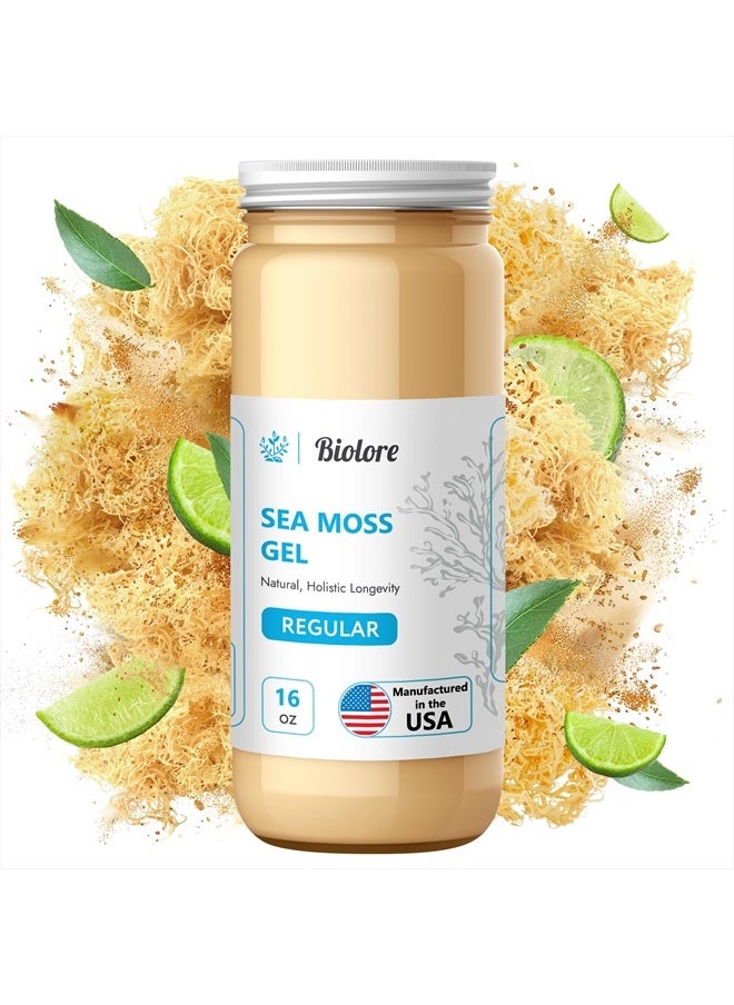 Biolore - Wildcrafted Sea Moss Gel - Supercharge Health with Irish Seamoss - with Essential Vitamins & Minerals - Antioxidant-Rich Vegan Superfood for Immune Support, Energy (Original, 16 oz) - Image 1
