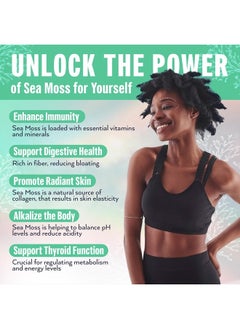 Biolore Wildcrafted Sea Moss Gel - Supercharge Health with Irish Seamoss - with Essential Vitamins & Minerals - Antioxidant-Rich Vegan Superfood for Immune Support, Energy (Original, 16 oz)  - Image 5