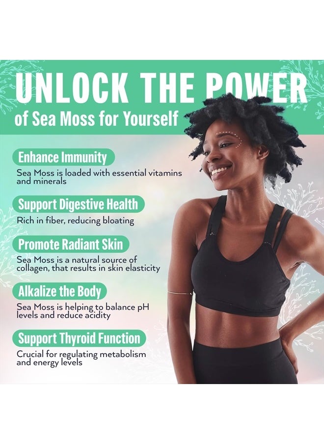 Biolore - Wildcrafted Sea Moss Gel - Supercharge Health with Irish Seamoss - with Essential Vitamins & Minerals - Antioxidant-Rich Vegan Superfood for Immune Support, Energy (Original, 16 oz) - Image 1