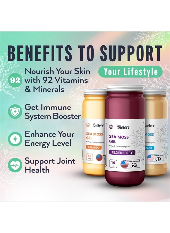 Biolore - Wildcrafted Sea Moss Gel - Supercharge Health with Irish Seamoss - with Essential Vitamins & Minerals - Antioxidant-Rich Vegan Superfood for Immune Support, Energy (Original, 16 oz) - Image 1
