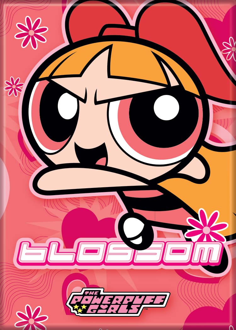 AtaBoy Powerpuff Girls Magnet Blossom on Pink 25 x 35 Magnet for Refrigerators Whiteboards Locker Decorations
