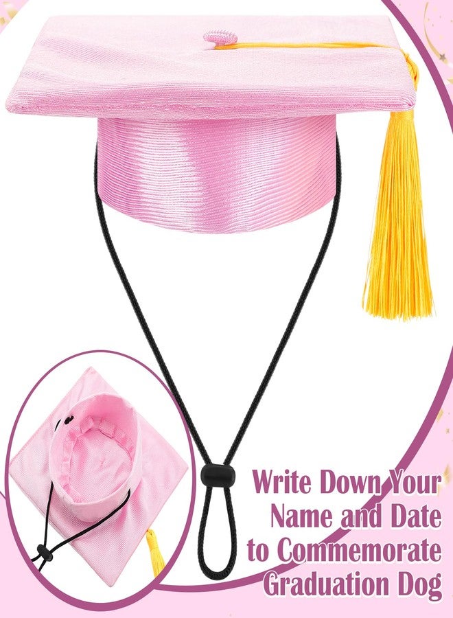 Bunnycool Dog Graduation Cap and Gown 2026 Washable Pet Graduation Costume for Dog Cat Shirt and Hat(Traditional,Pink,M) - Image 3