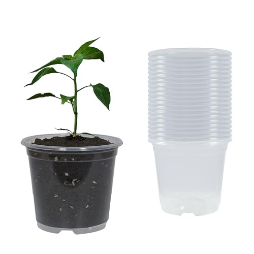 TNTIWQ 20 Pack 4 Inch Clear Nursery Pots with Drainage Plant Pots for Plants Transparent Potting Containers for Plants Seeding Starter PotClear 4 Inch 20 Pcs - Image 1