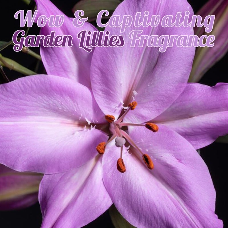 ECOLYTE+ Garden Lillies Hand Soap - 5L - Image 4