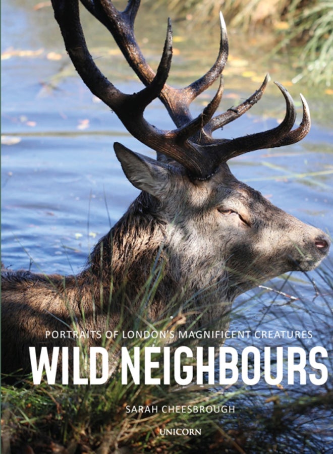 Wild Neighbours : Portraits of London's Magnificent Creatures 
