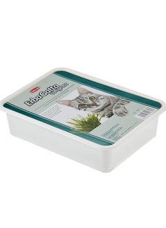 Padovan Erbagatto Cat Grass  - Image 2