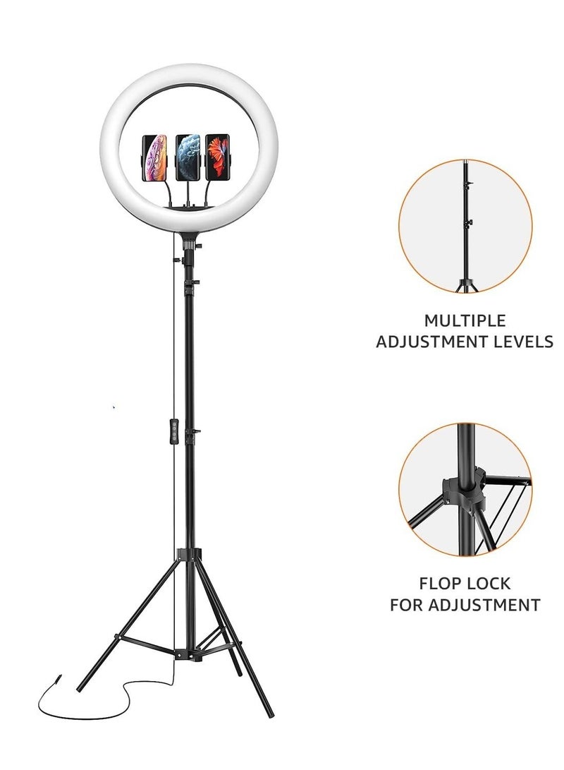 LED Ring Light (14 inch) with Tripod Stand & Mini Tripod and Dual Temperature Modes - Image 2