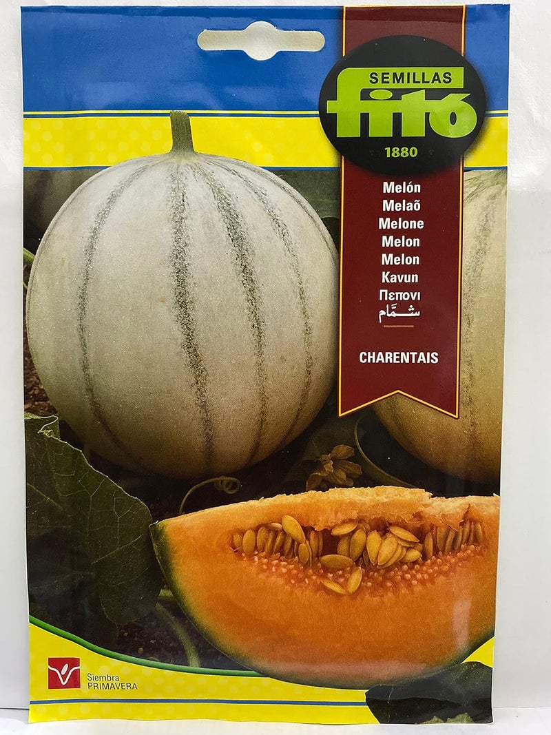 Fito Melon Charentais Seeds for Planting, Premium Fruit Seeds for Indoor & Outdoor Gardening, Sweet Aromatic Melon Variety, High Yield Fruit Plant for Home Garden Fresh Desserts & Healthy Eating