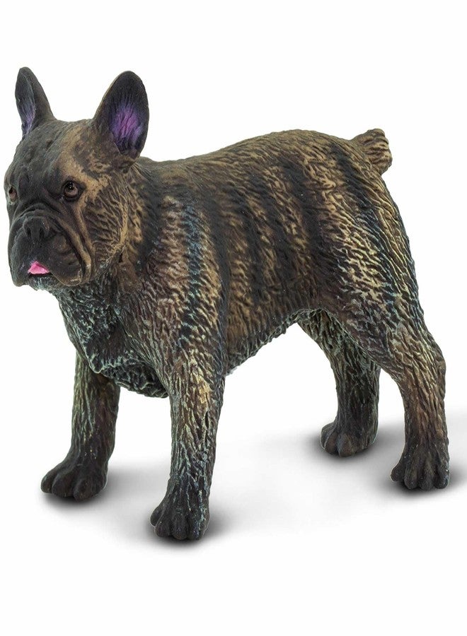 Safari Ltd. French Bulldog Figurine - Lifelike 3" Model Figure - Educational Toy for Boys, Girls, and Kids Ages 3+ - Image 1