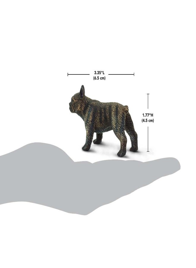 Safari Ltd. French Bulldog Figurine - Lifelike 3" Model Figure - Educational Toy for Boys, Girls, and Kids Ages 3+ - Image 3