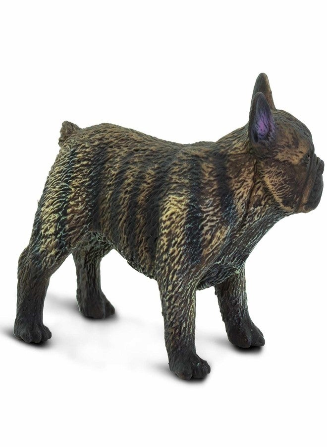 Safari Ltd. French Bulldog Figurine - Lifelike 3" Model Figure - Educational Toy for Boys, Girls, and Kids Ages 3+ - Image 5