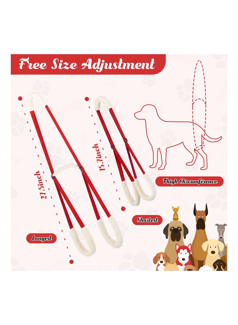 Zikra 2 Pcs Dog Support Harness for Back Legs Dog Rear Lifting Sling Aid with Handle and Shoulder Strap Hind Leg Support for Pet Mobility Helps Dogs with Poor Stability, Arthritis, Joint Injuries (Orange) - Image 3