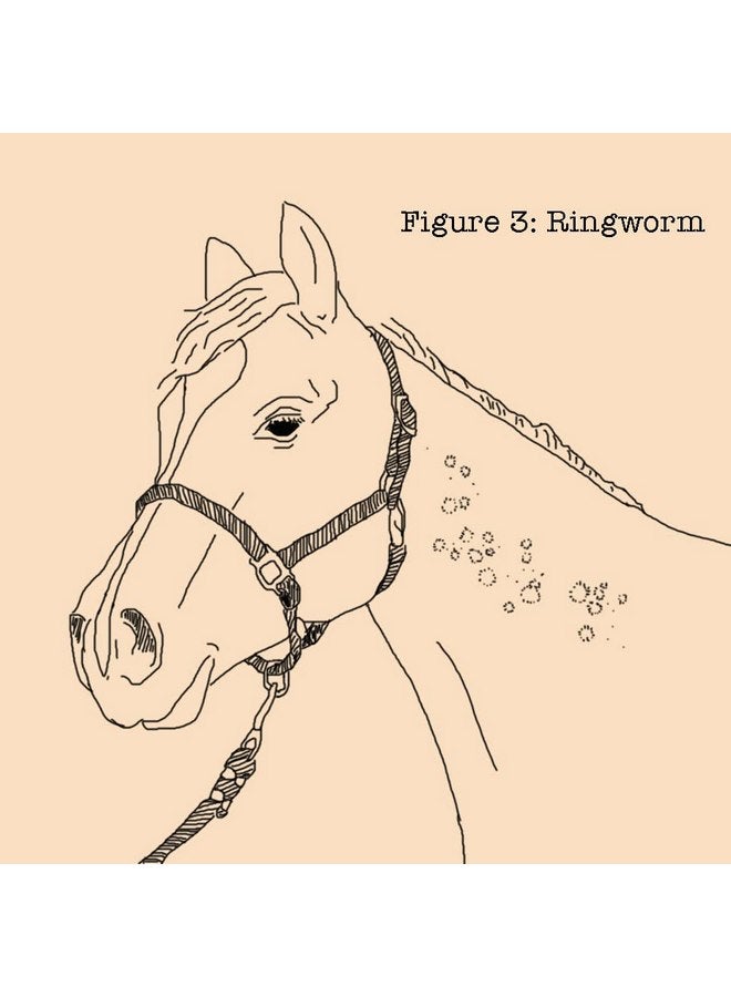 Absorbine 430440 20 oz Fungasol Shampoo - Image 3