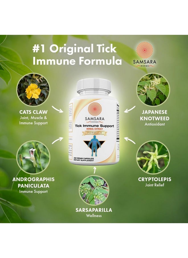 Samsara Herbs - Samsara Herbs Tick Immune Support - Japanese Knotweed, Cats claw, Andrographis, Cryptolepis, Sarsaparilla, Resveratrol, Tick Bite Support 240 Capsules - Image 1