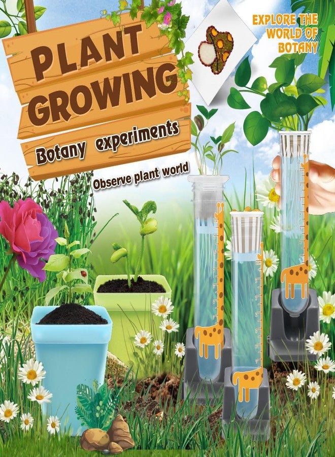كيت 4 كيوريس مجموعة تجارب زراعة النباتات Kit4Curious® للأطفال من عمر 6 سنوات فما فوق | 19 نشاطًا في علم النبات و26 أداة متضمنة | هدية عيد ميلاد STEM يمكنك صنعها بنفسك للأولاد والبنات | تعلم العلوم من خلال عالم النبات - Image 5