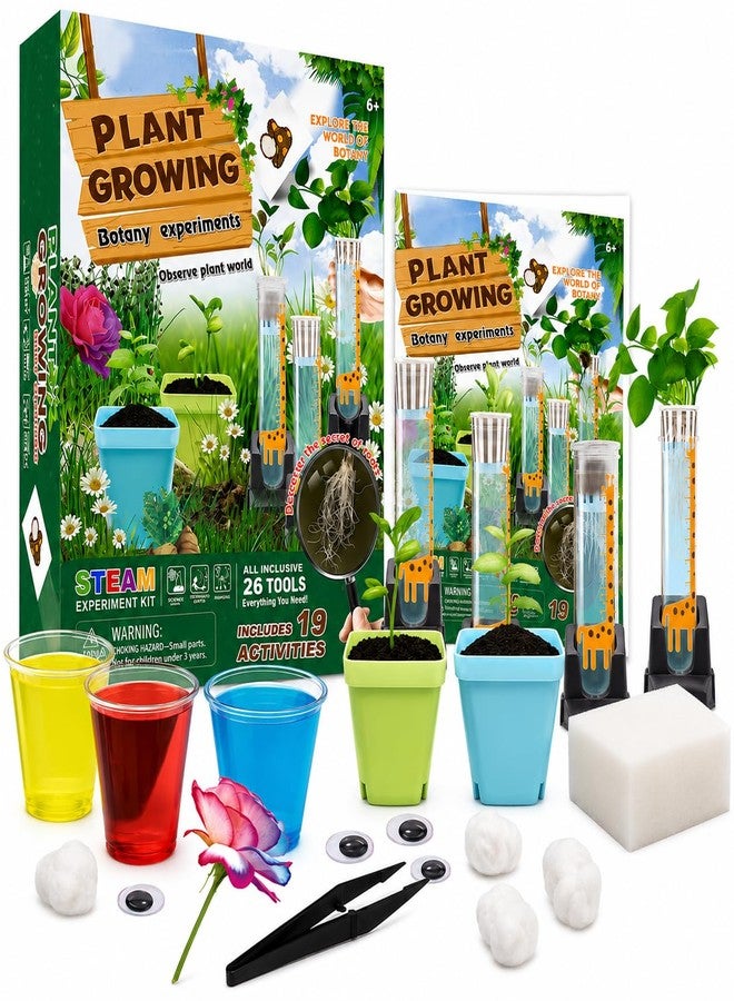 كيت 4 كيوريس مجموعة تجارب زراعة النباتات Kit4Curious® للأطفال من عمر 6 سنوات فما فوق | 19 نشاطًا في علم النبات و26 أداة متضمنة | هدية عيد ميلاد STEM يمكنك صنعها بنفسك للأولاد والبنات | تعلم العلوم من خلال عالم النبات - Image 1