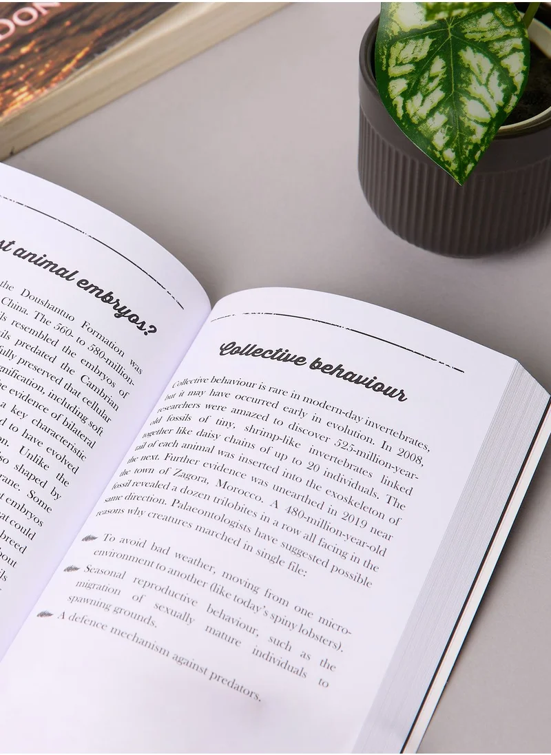 Summersdale The Little Book Of Palaeontology