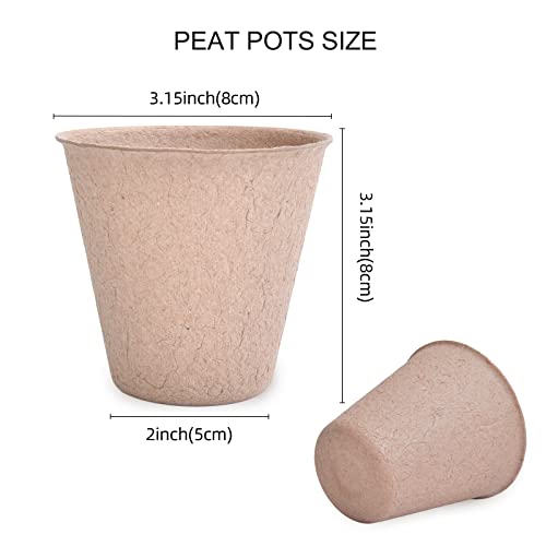 JERIA 50-Pack 3.15 Inch Peat Pots for Seedling with 50 Pcs Plant Labels,Outdoor Garden Germination Nursery Pots,Biodegradable Seed Starter Pots Kits - Image 2