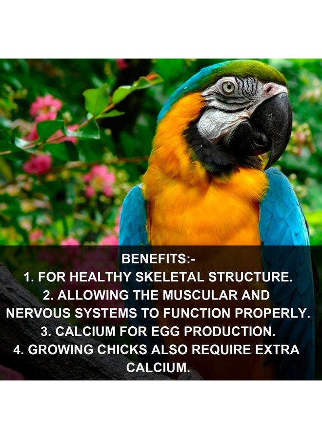 PET (Pci) Cal Care || Provide Essential Calcium || Healthy Bird Healthcare || Pack Of 2 || 30Ml X 2 - Image 2