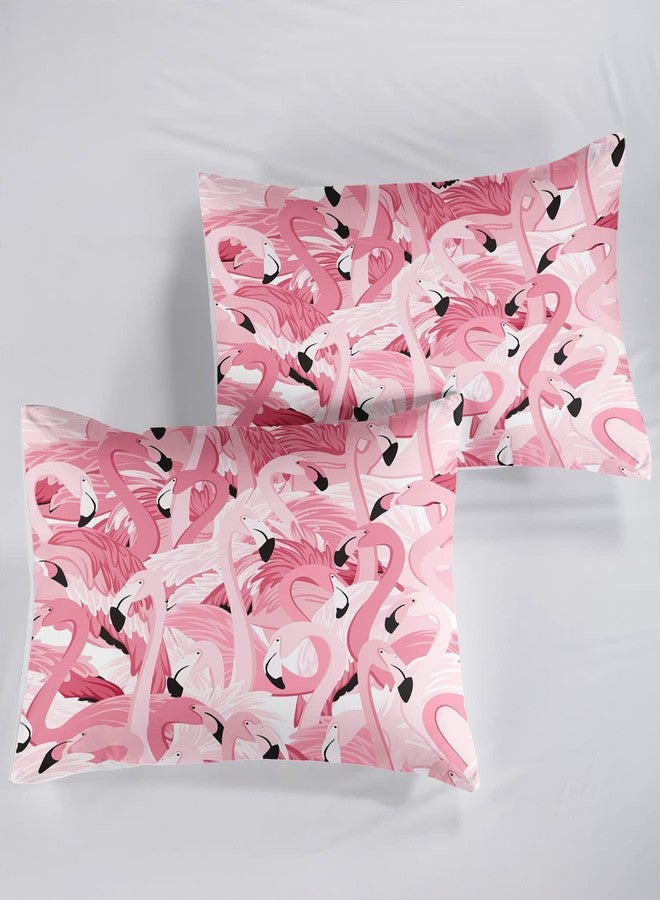 AILONEN Flamingo Fitted Sheet Twin Size, Tropical Flamingo Pattern Bed Sheets for Kids Girls Teens, Sheet Set, 1 Fitted Sheet and 2 Pillow Case, 3 Piece - Image 5