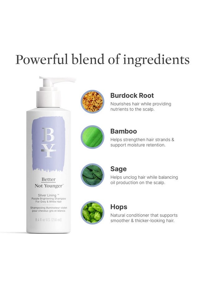 Better Not Younger Silver Lining Purple Shampoo Sulfatefree Purple Shampoo For Blonde Hair W Burdock Root Bamboo Sage & Hops Crueltyfree White & Grey Hair Shampoo 8.4 Fl Oz  - Image 4