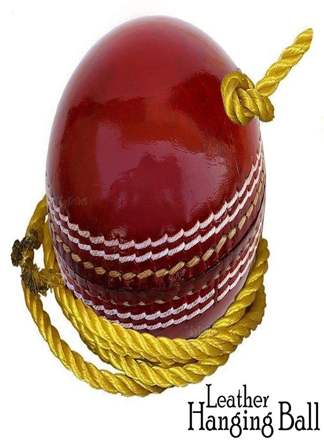 Klapp Cricket Hanging Ball for Shot Practice in (Leather) SSTP - Image 2