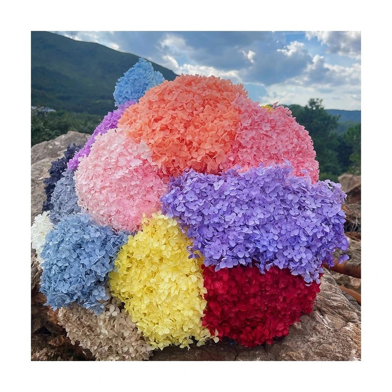 Bluejw Real Touch Dried Flowers Bouquet with Preserved Hydrangea – Natural Dried Plants for Wedding & Home Decoration - Image 2