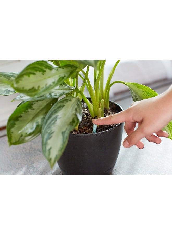Miracle-Gro غذاء النباتات الداخلية 48 سبايك  - Image 5