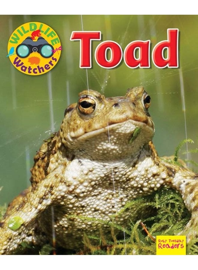 Wildlife Watchers Toad - Paperback