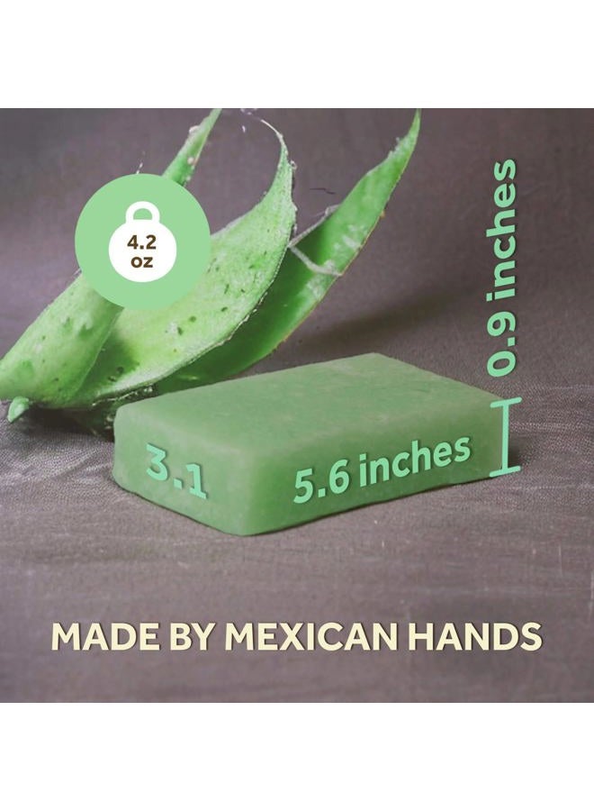 T. Taio T.Taio Esponjabon Soap Sponge - Cleansing Shower Scrubber - Cleaning Bath Wash Scrub - Oil Removal - Massage & Lather Foot, Elbow, & Face - Bathroom Accessories (Cucumber) - Image 5